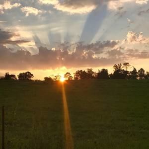 Meet your Posher, Audrey